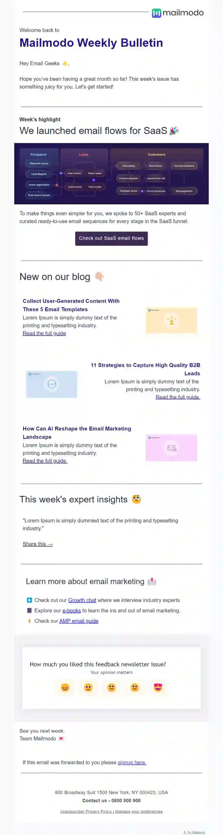 Free Weekly Email Newsletter Template